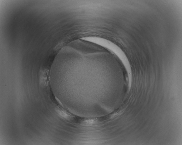 X0000069790237200606021421