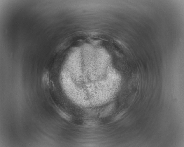 X0000069790238200606021421