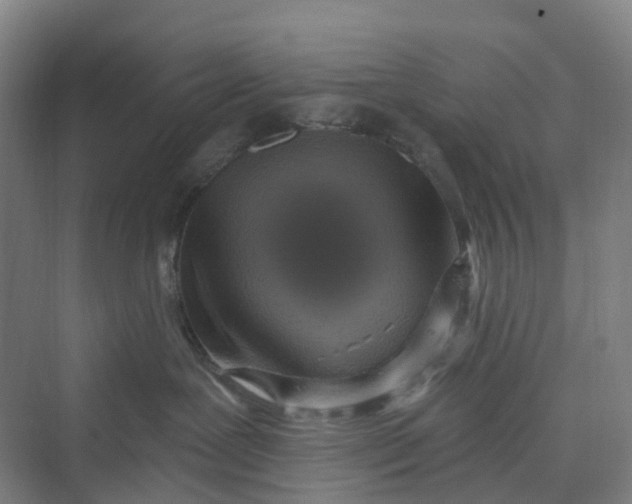 X0000069790239200606021421