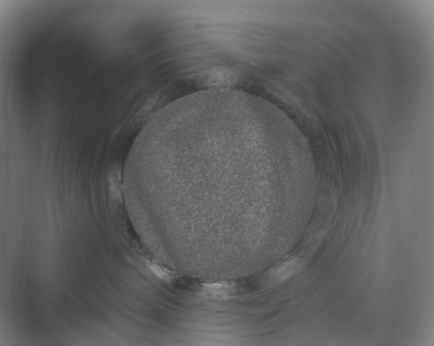 X0000069790240200606021421