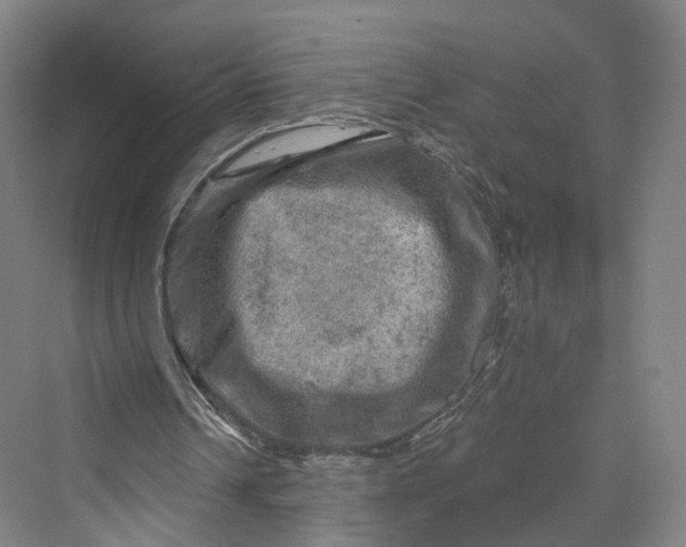 X0000069790242200606021420