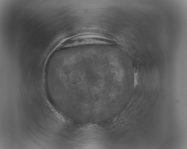 X0000069790243200606021420