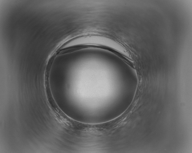 X0000069790244200606021420