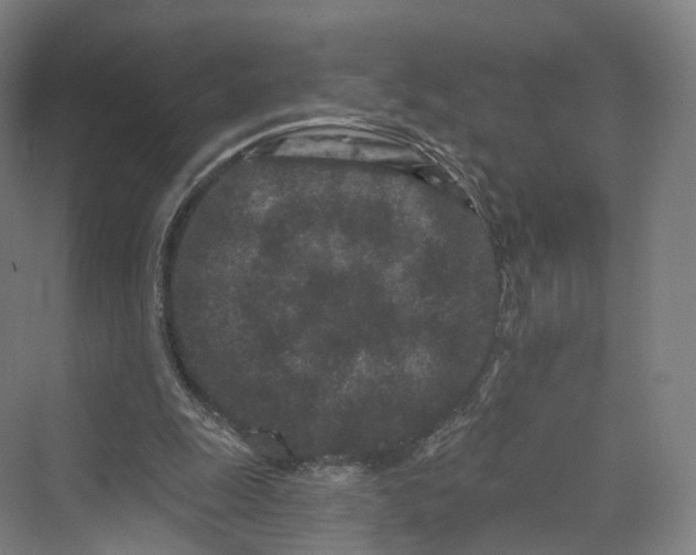 X0000069790247200606021420