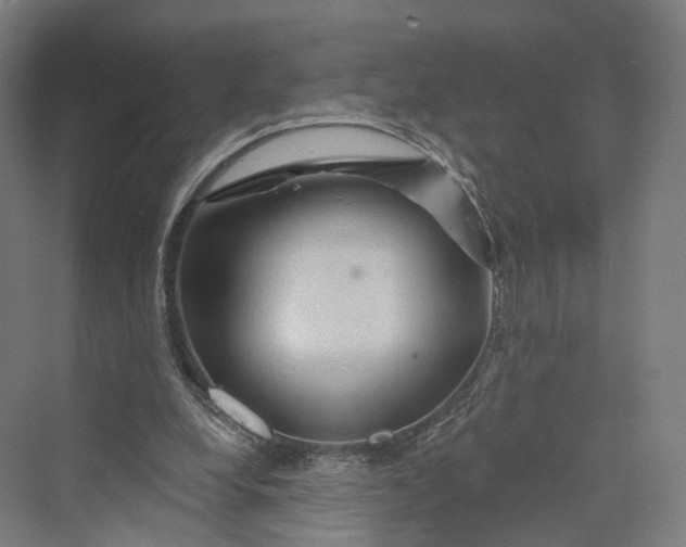 X0000069790248200606021420