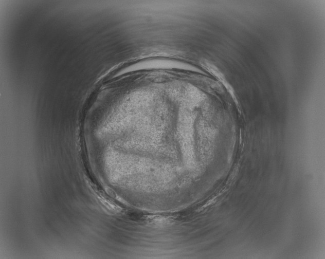 X0000069790249200606021420