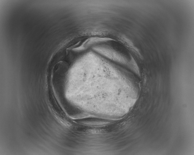 X0000069790250200606021420