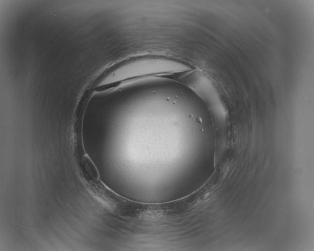 X0000069790252200606021420