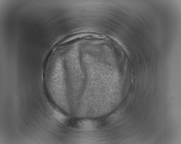 X0000069790253200606021420