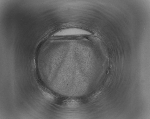 X0000069790254200606021421