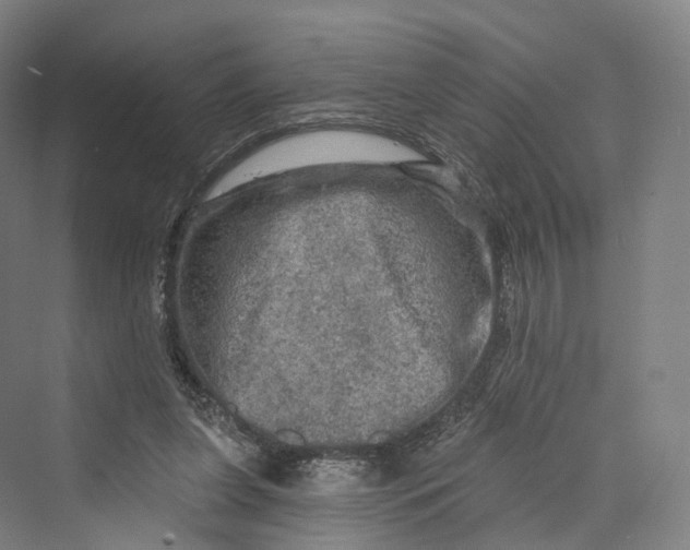 X0000069790255200606021421