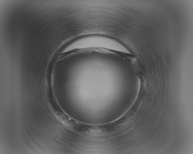 X0000069790256200606021421