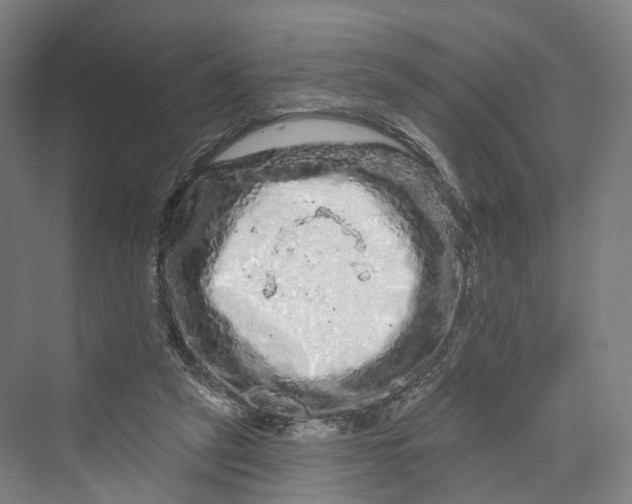 X0000069790257200606021421