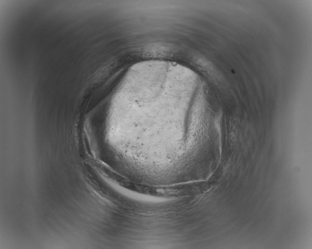 X0000069790258200606021421