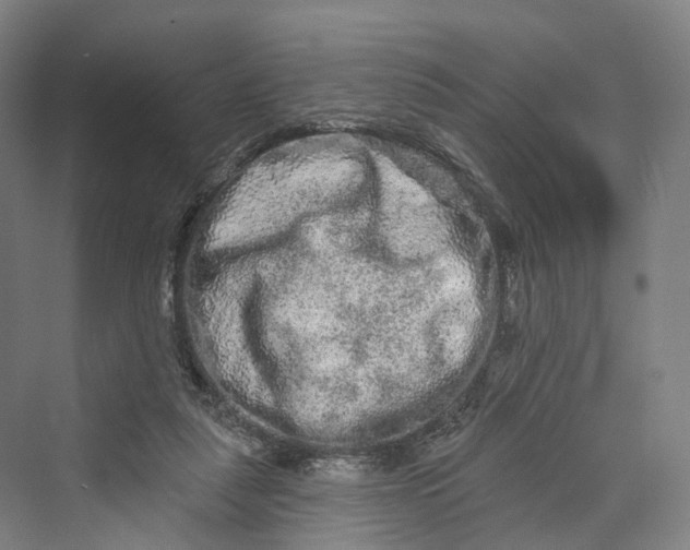 X0000069790259200606021421