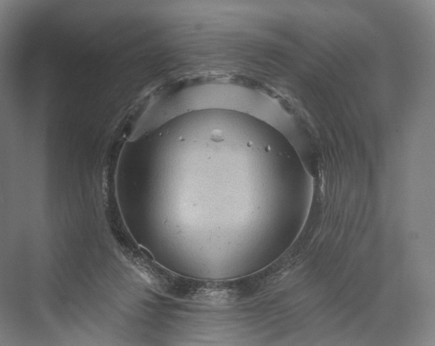 X0000069790260200606021421