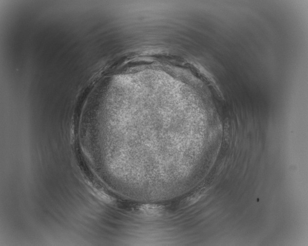 X0000069790261200606021421