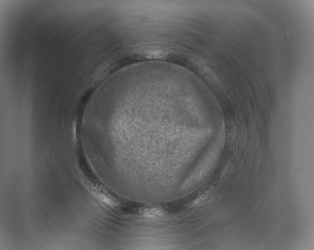 X0000069790262200606021421