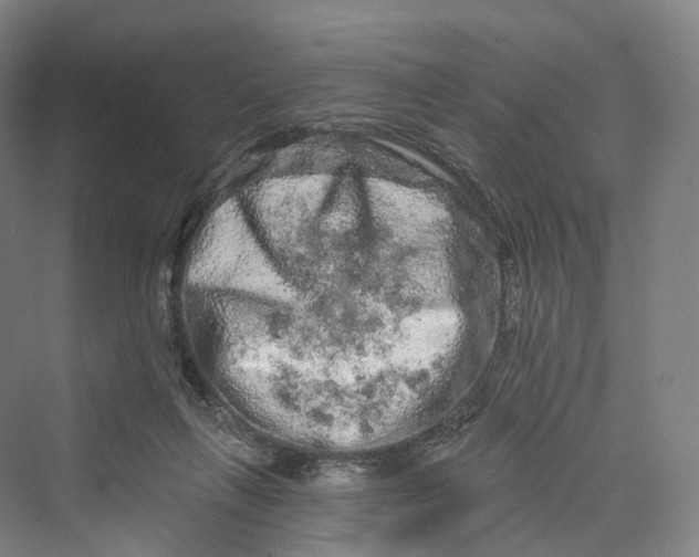 X0000069790263200606021421