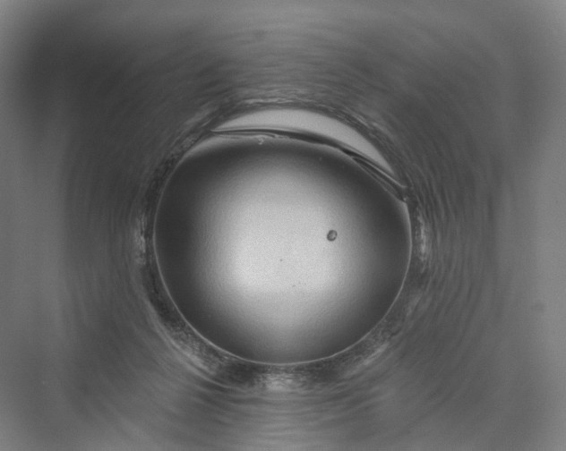 X0000069790264200606021421