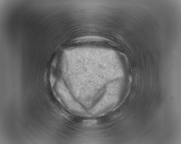 X0000069790266200606021421