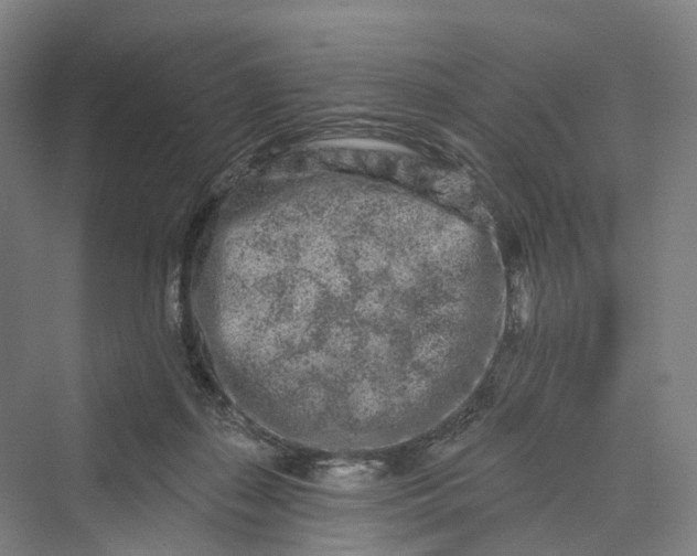 X0000069790267200606021421