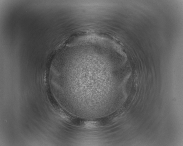 X0000069790268200606021421