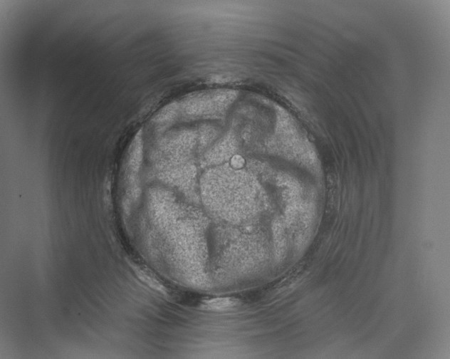 X0000069790269200606021421