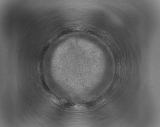 X0000069790270200606021421