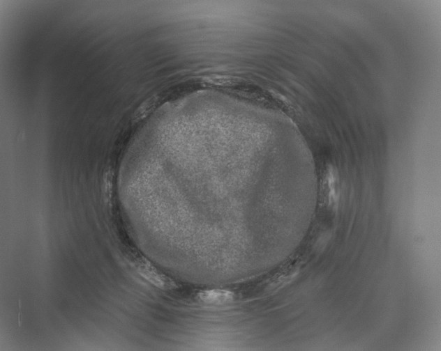 X0000069790271200606021421