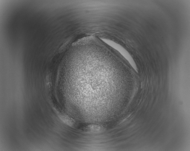 X0000069790272200606021421