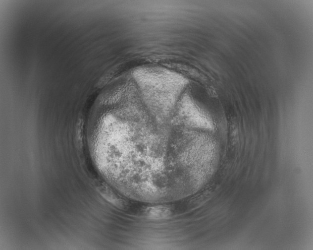 X0000069790275200606021421