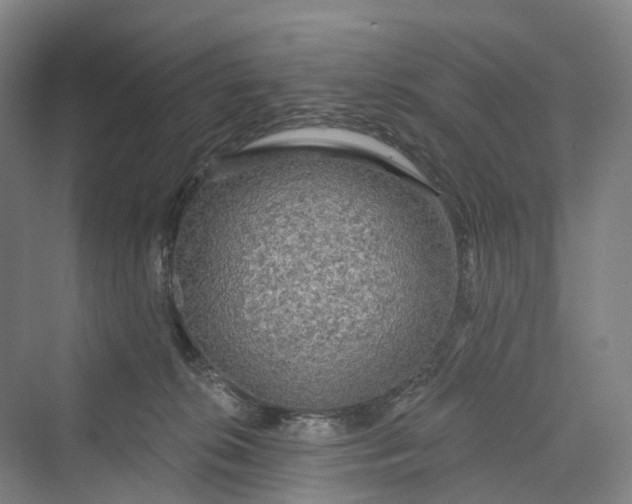 X0000069790276200606021421