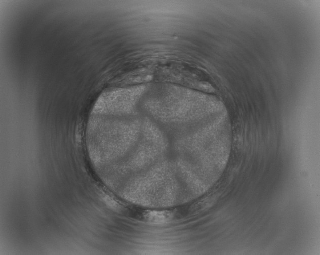 X0000069790277200606021421