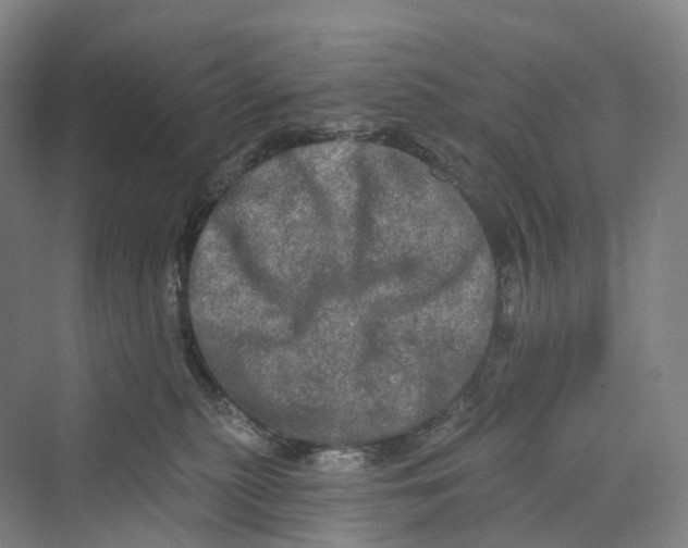 X0000069790279200606021421