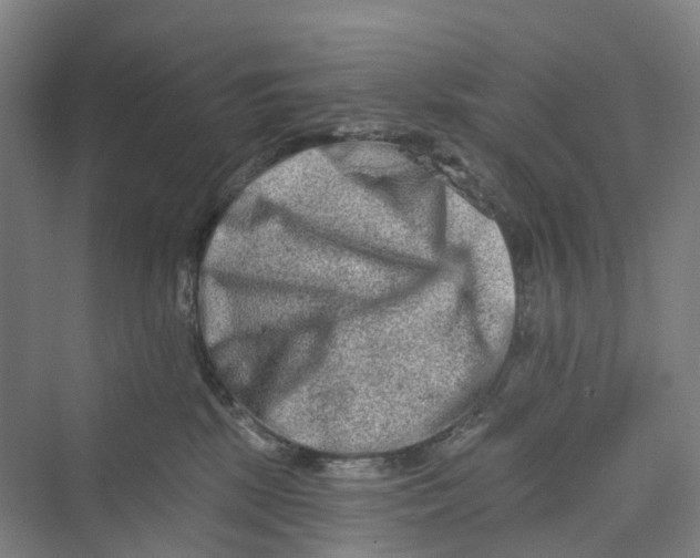 X0000069790281200606021421