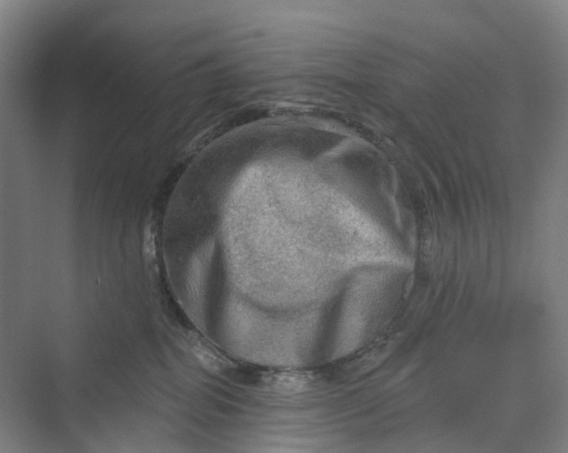 X0000069790282200606021421