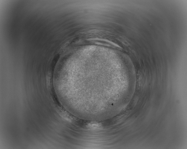 X0000069790283200606021421