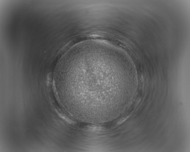 X0000069790284200606021421