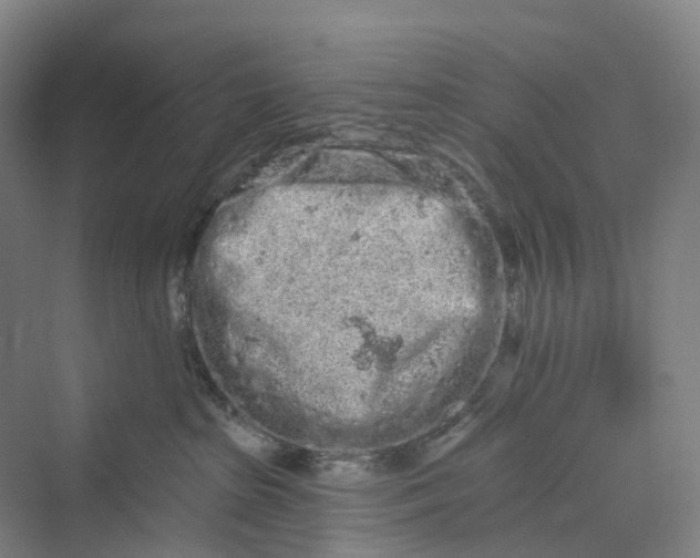 X0000069790285200606021421