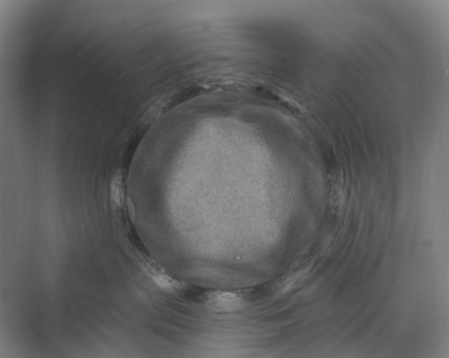 X0000069790287200606021421