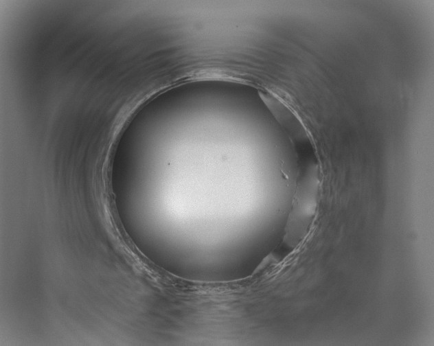 X0000069790289200606021420