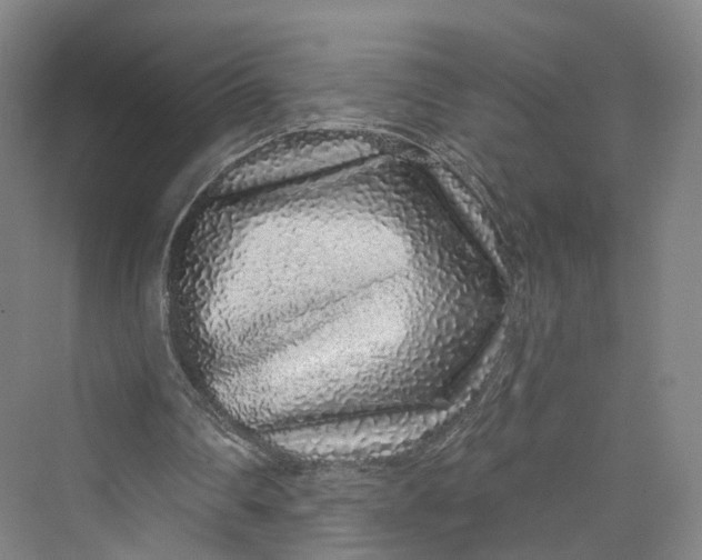 X0000069790290200606021420