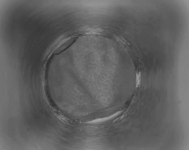 X0000069790291200606021420