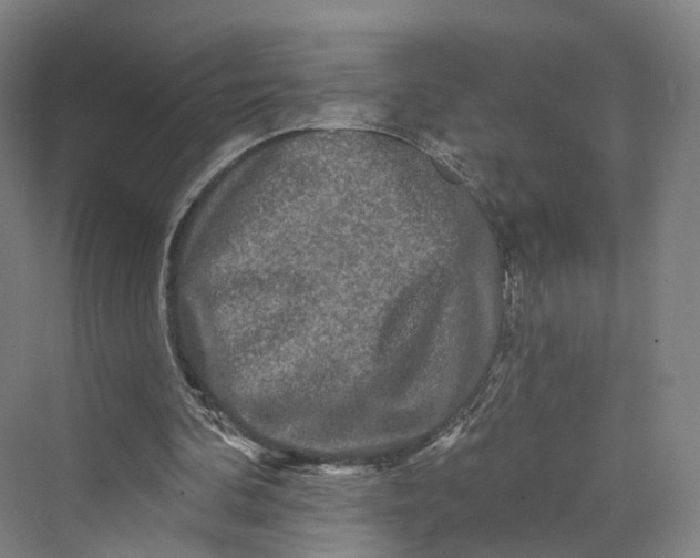 X0000069790292200606021420