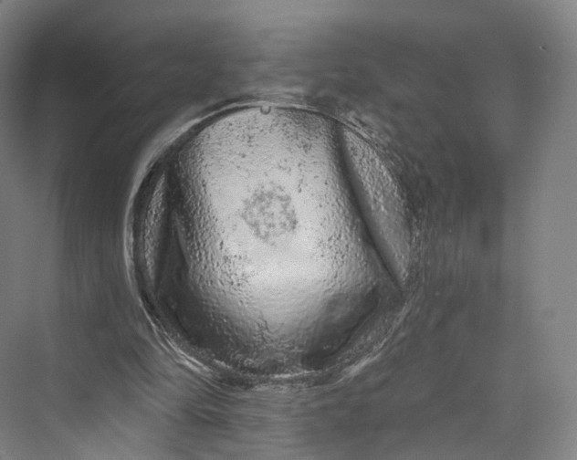 X0000069790294200606021420