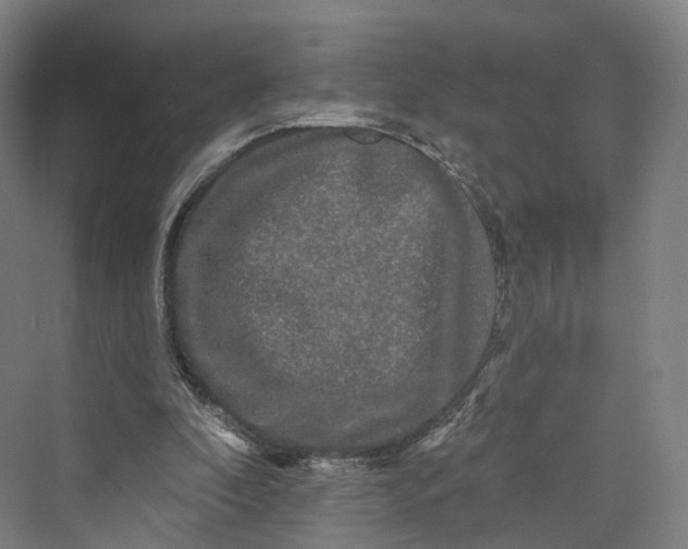 X0000069790296200606021420