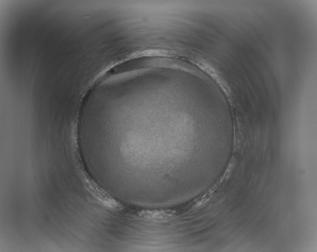 X0000069790297200606021420