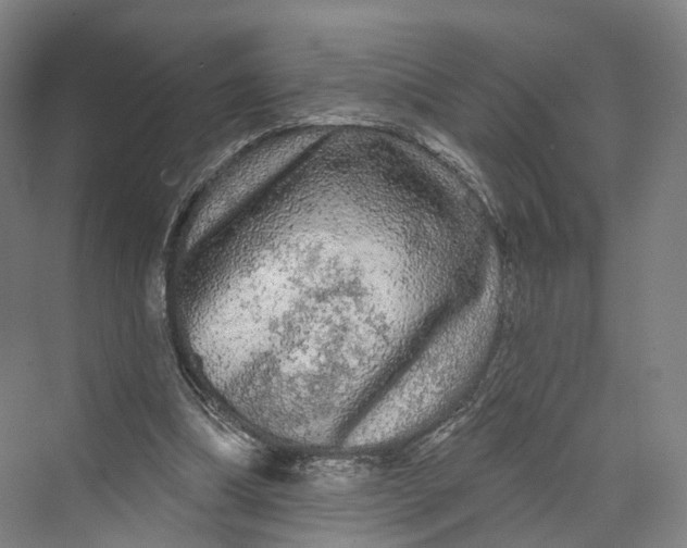 X0000069790298200606021420