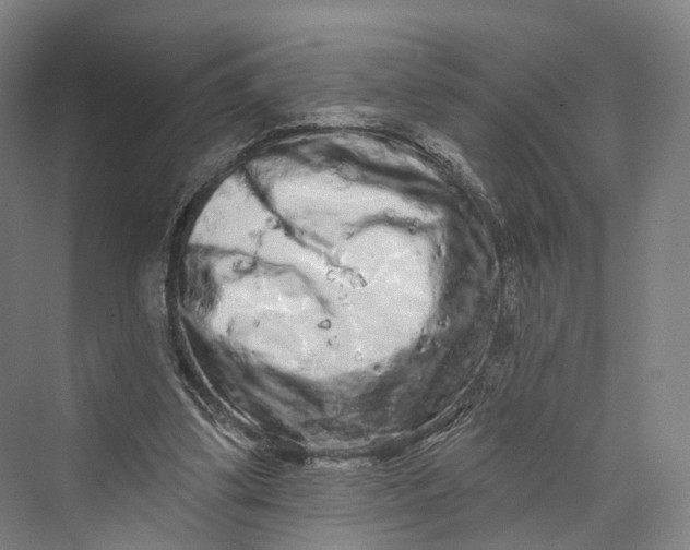 X0000069790299200606021420